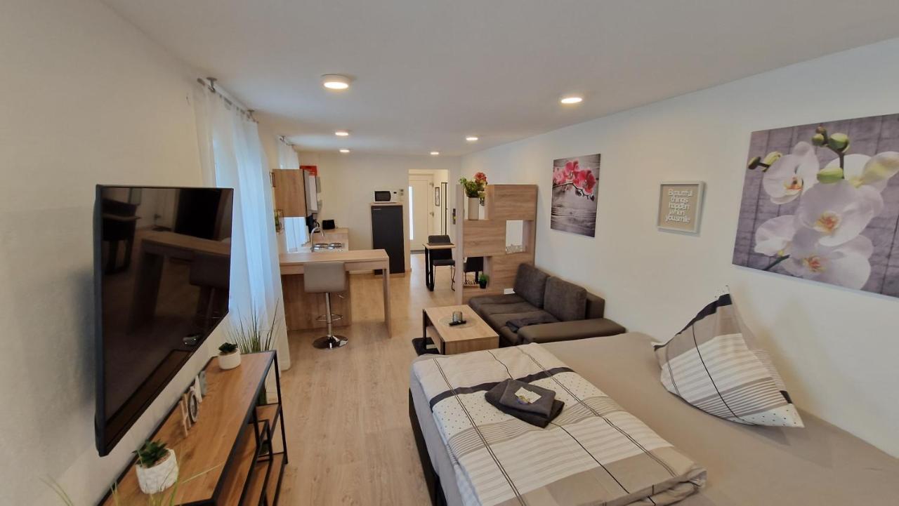 Appartment-Ferienwohnung Mit Kueche, Bad, Kostenlos Wlan, Modern Eingerichtet Roding Exterior photo